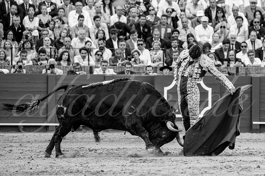 20230427 sevilla 011