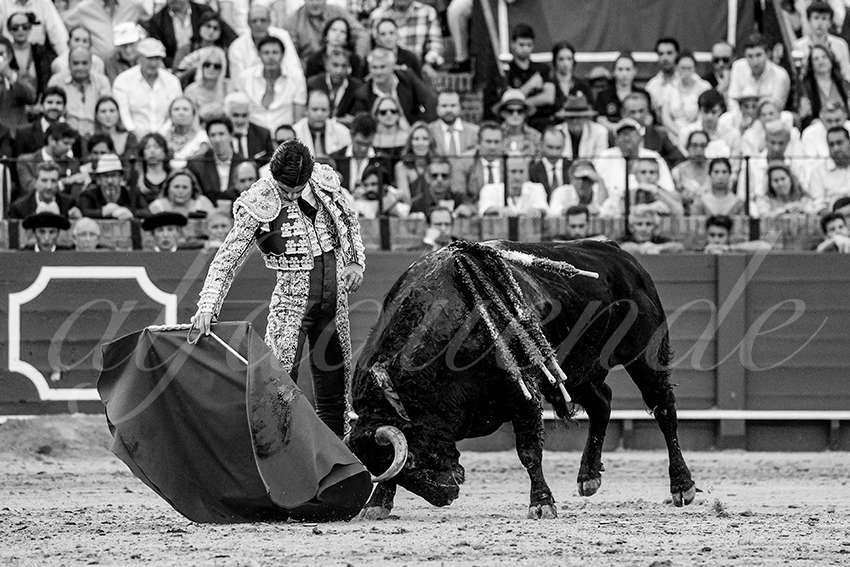 20230427 sevilla 010