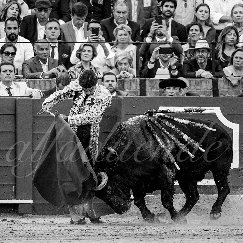 20230427 sevilla 009