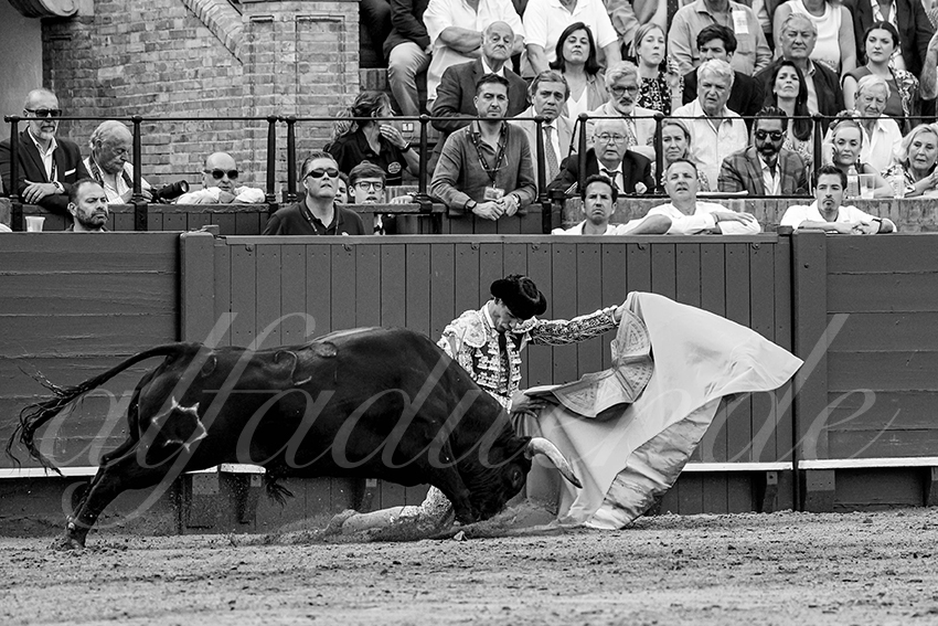 20230427 sevilla 007