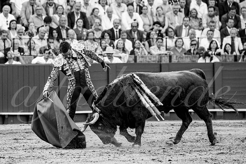 20230427 sevilla 006