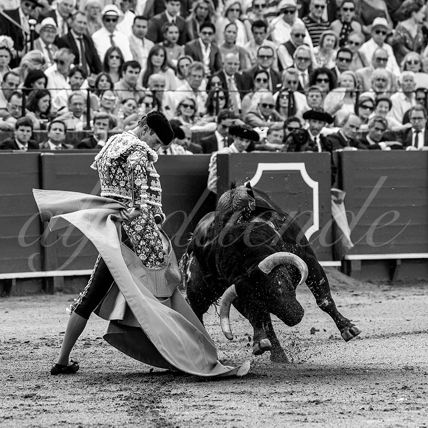 20230427 sevilla 005