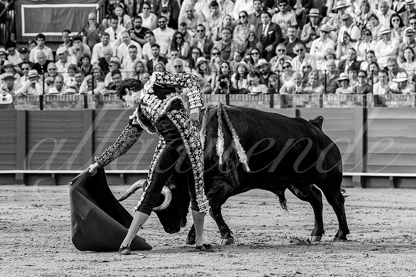 20230428 sevilla 029