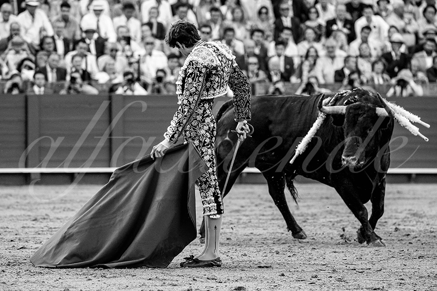 20230428 sevilla 028