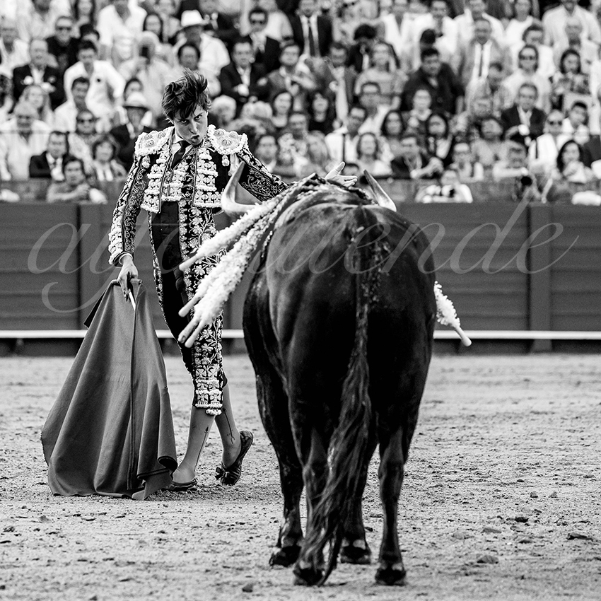 20230428 sevilla 027