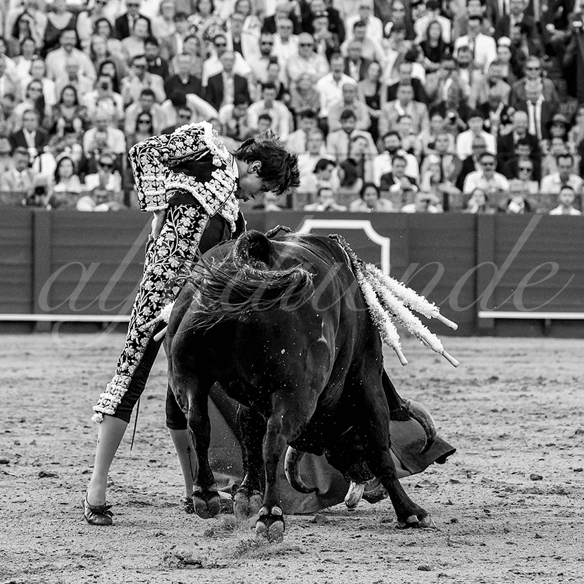 20230428 sevilla 025