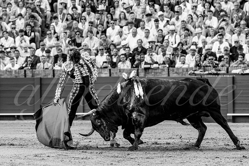 20230428 sevilla 024