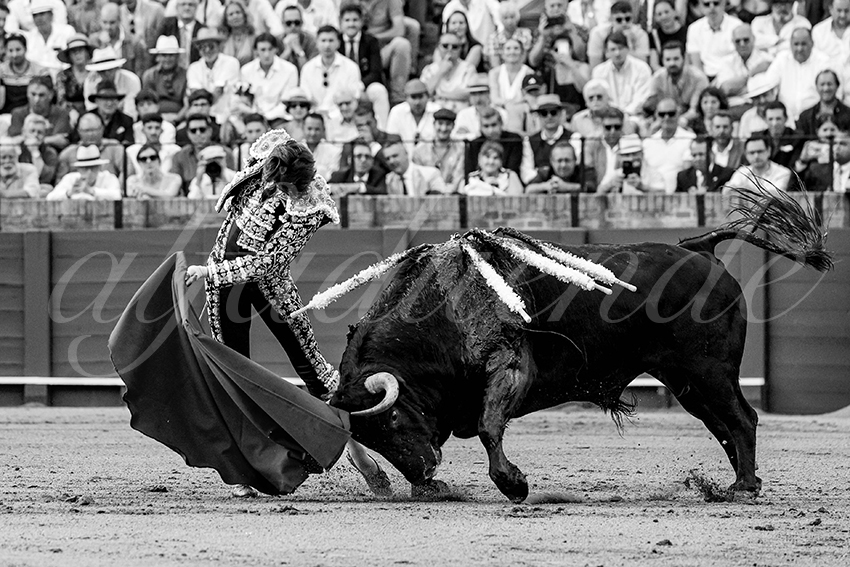 20230428 sevilla 023