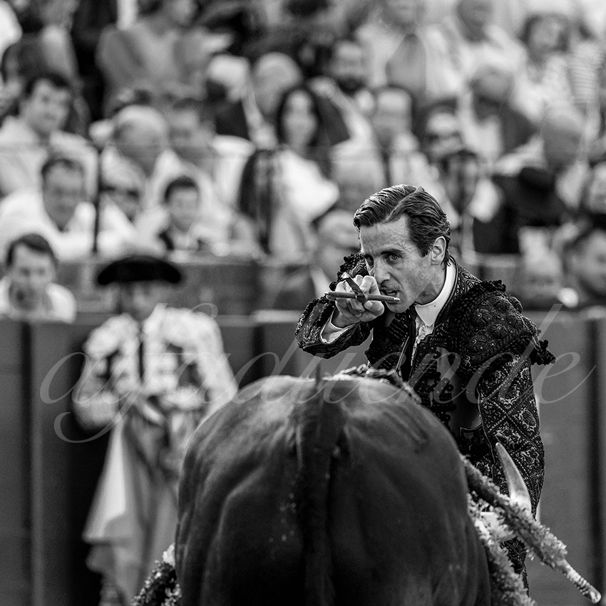 20230428 sevilla 022