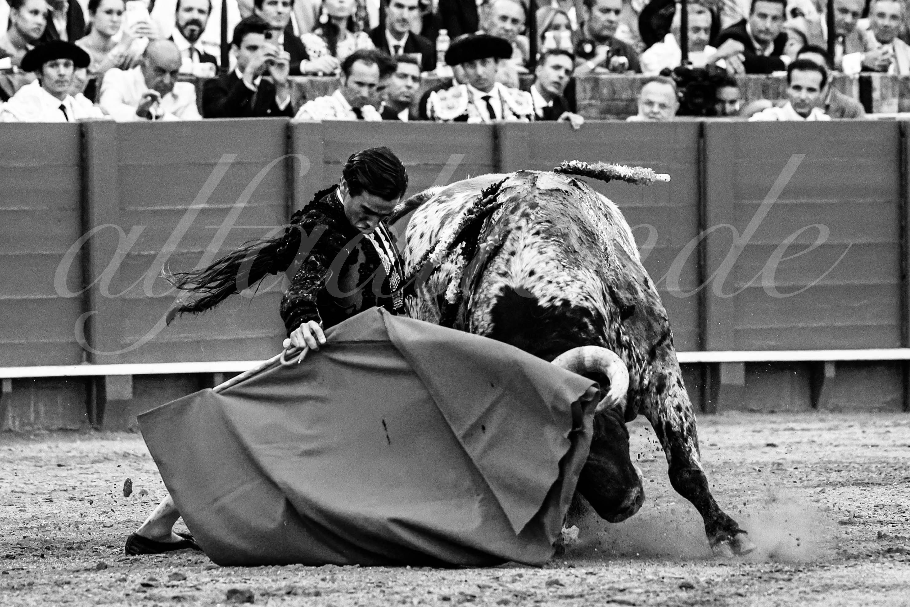 20230428 sevilla 021