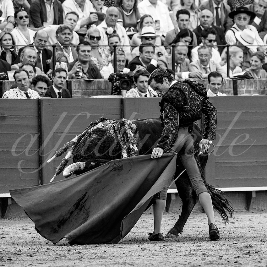 20230428 sevilla 020