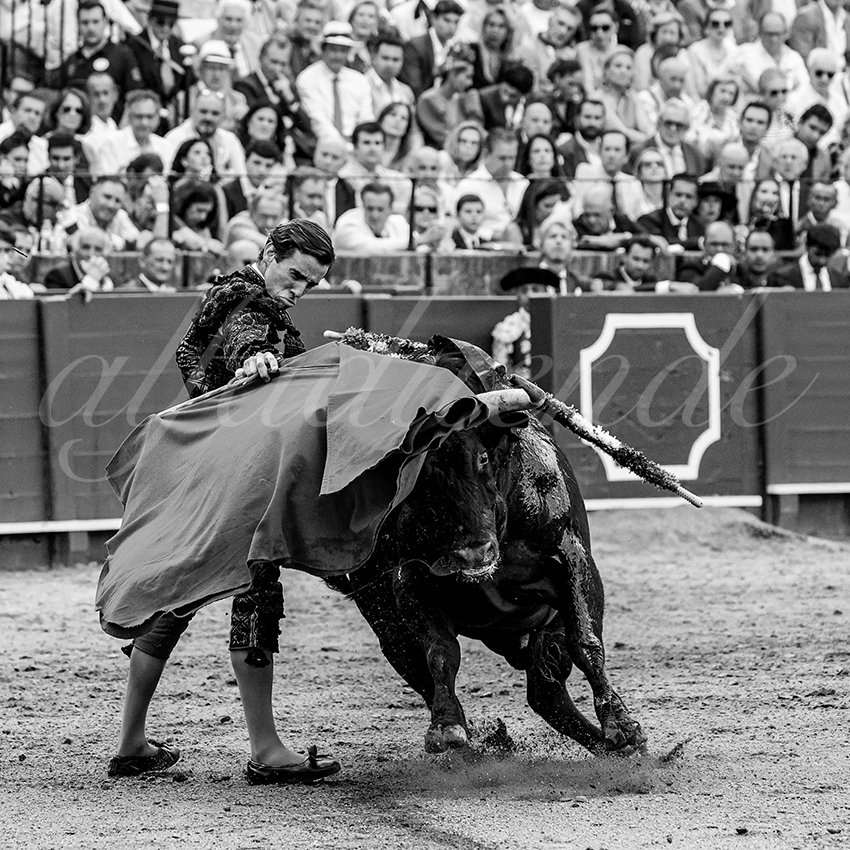 20230428 sevilla 019