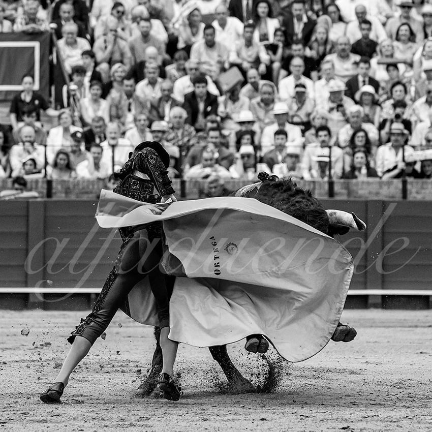 20230428 sevilla 018