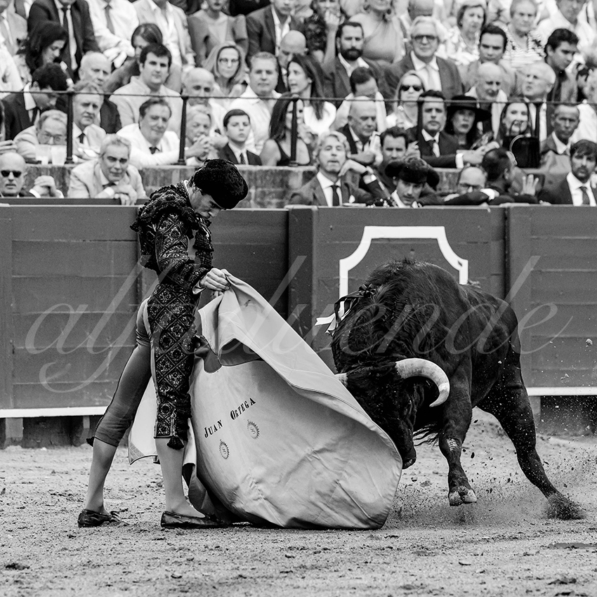 20230428 sevilla 017