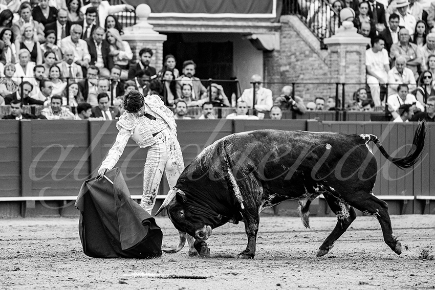 20230428 sevilla 016