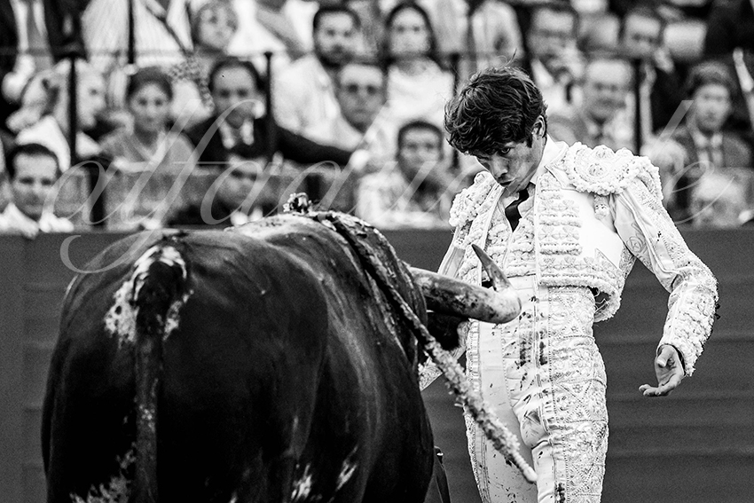 20230428 sevilla 015