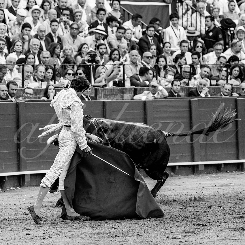 20230428 sevilla 014