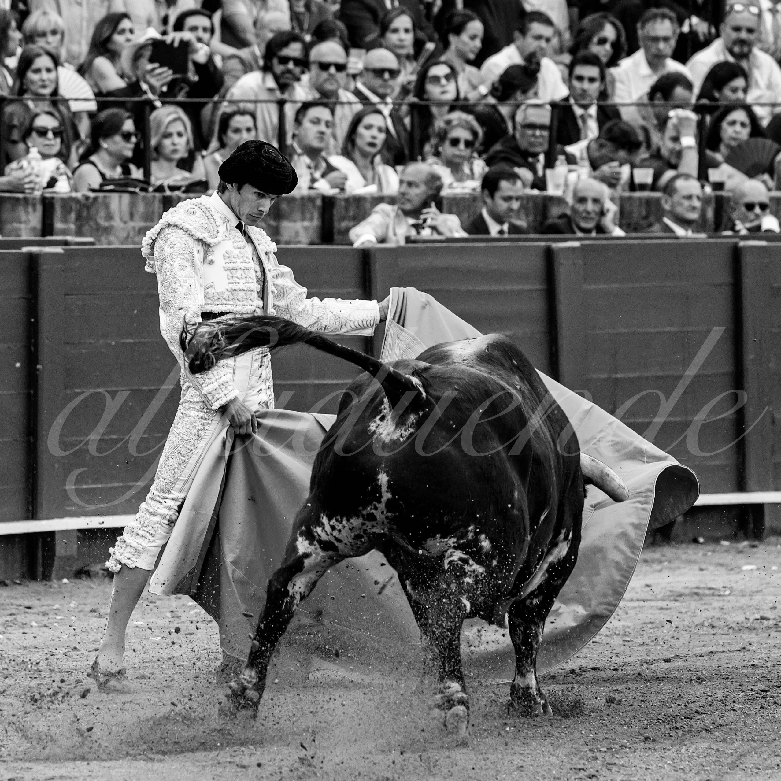 20230428 sevilla 013