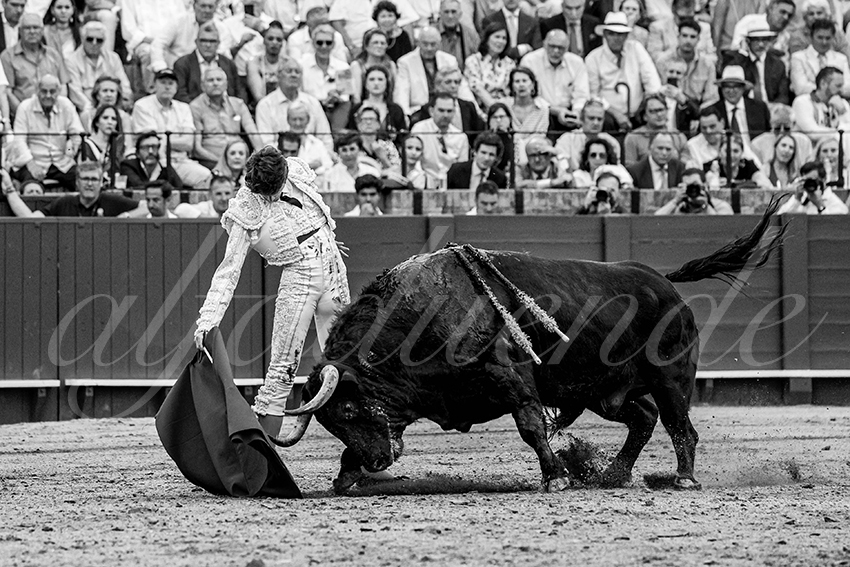 20230428 sevilla 011