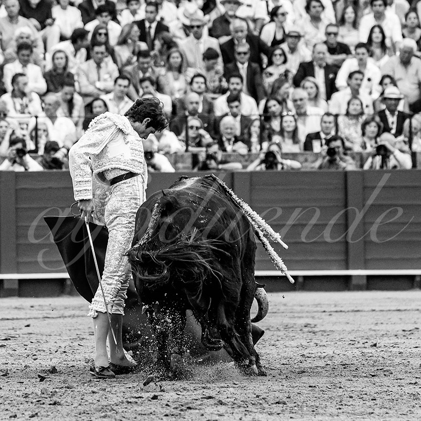 20230428 sevilla 010