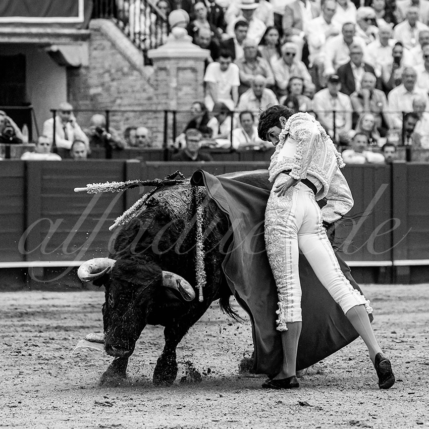 20230428 sevilla 009