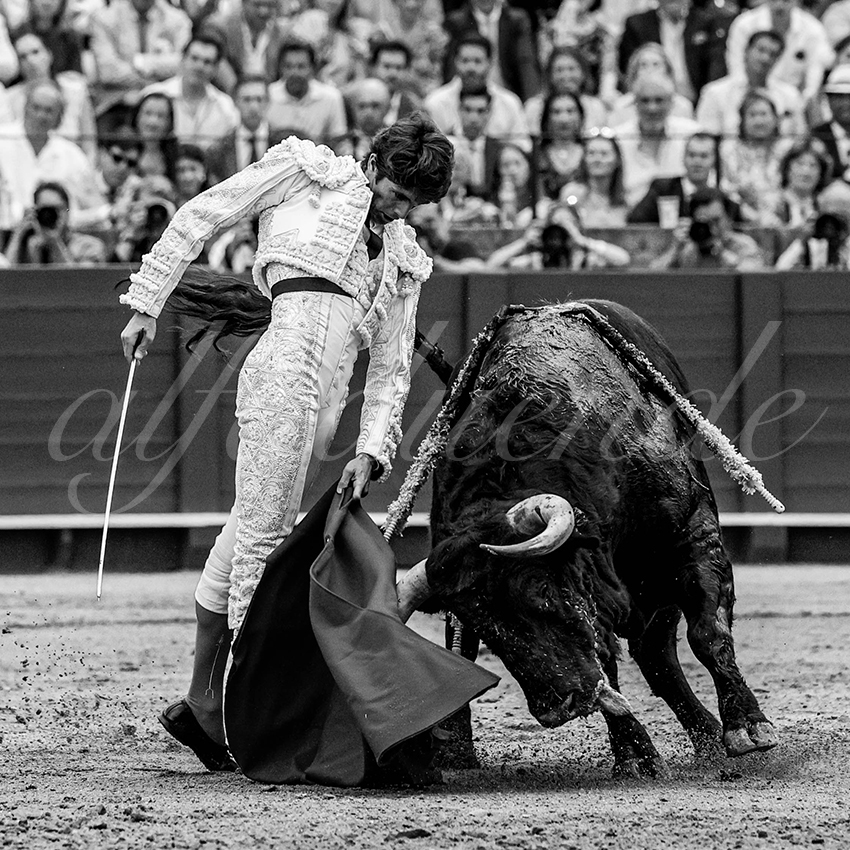 20230428 sevilla 008