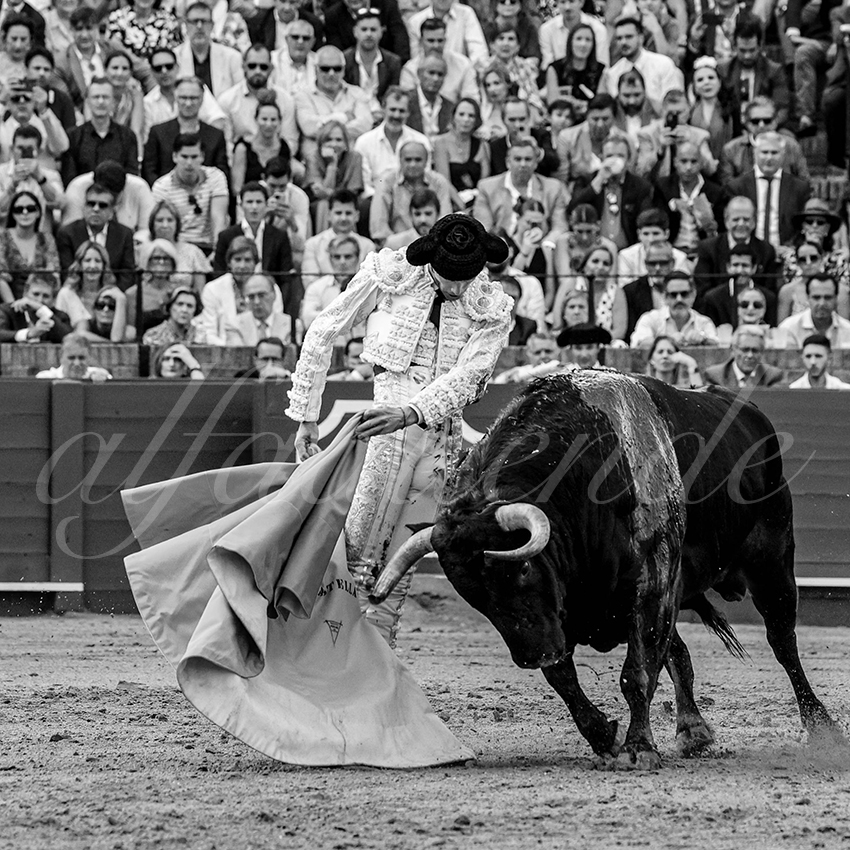 20230428 sevilla 007