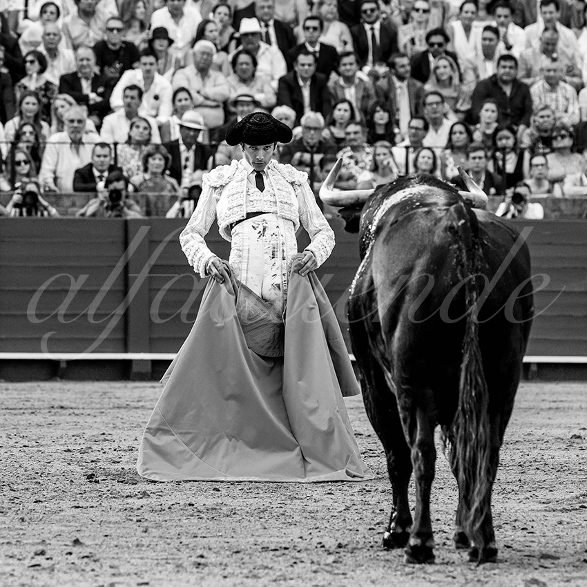 20230428 sevilla 006