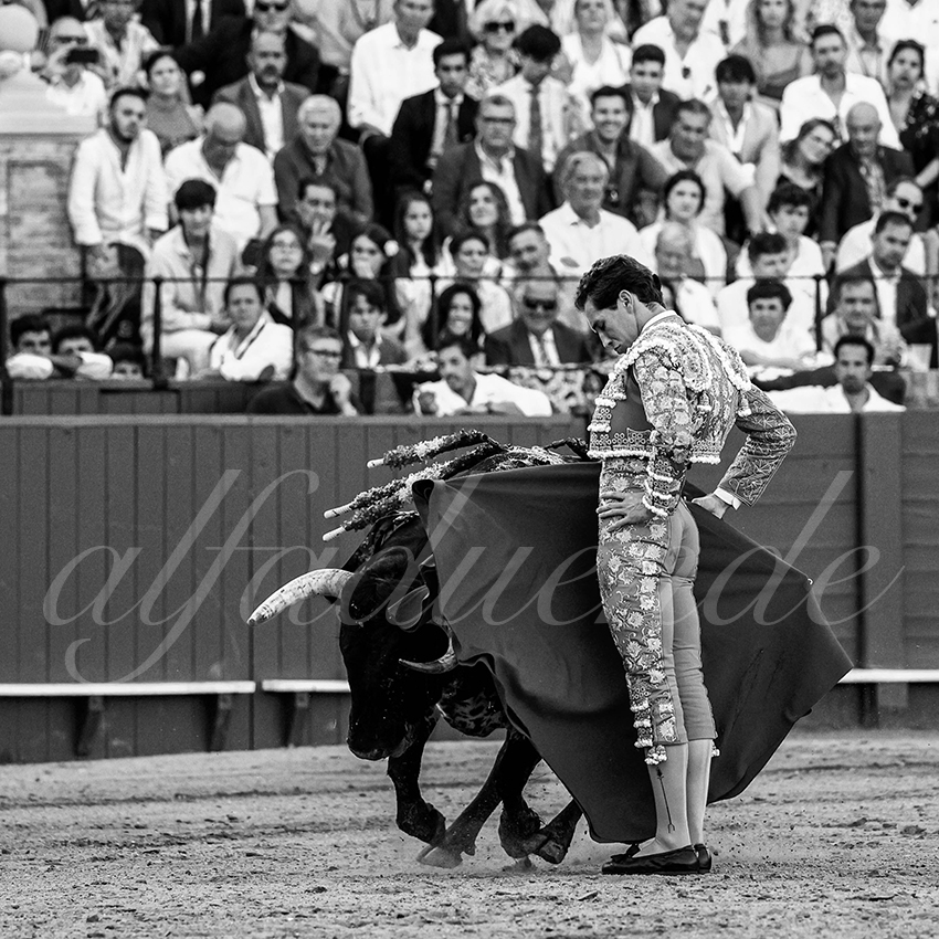 20230429 sevilla 024