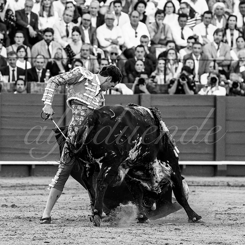 20230429 sevilla 023