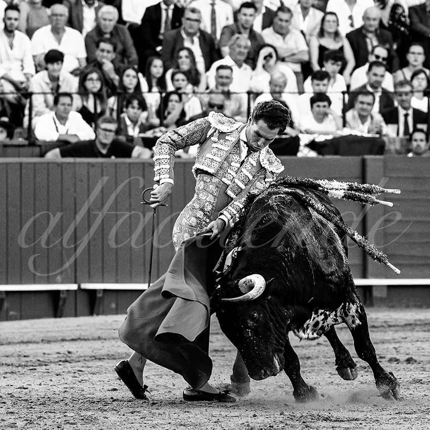 20230429 sevilla 022