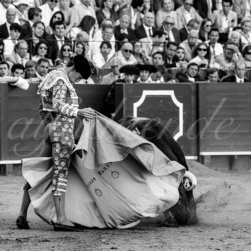 20230429 sevilla 021