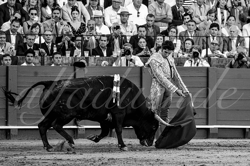 20230429 sevilla 020