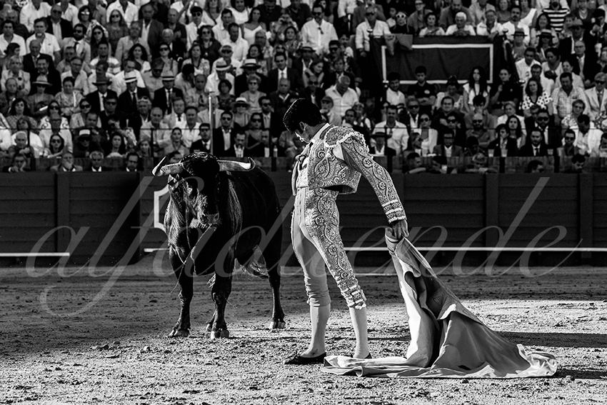 20230429 sevilla 019