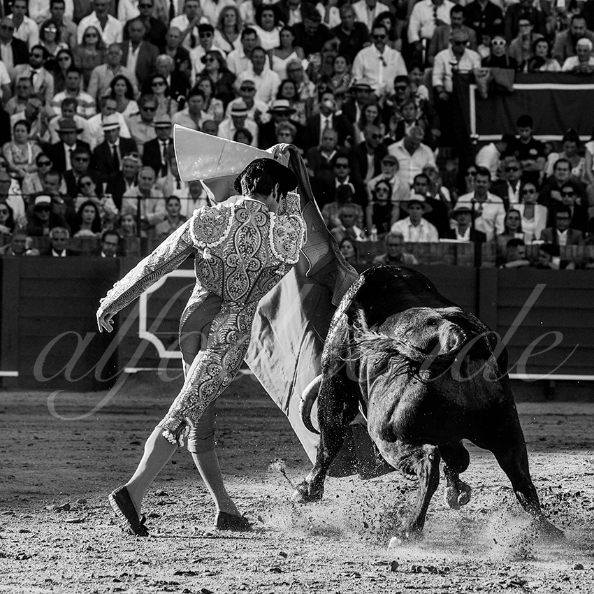 20230429 sevilla 018