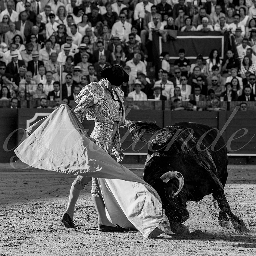 20230429 sevilla 017