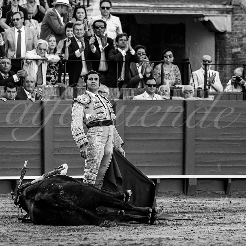 20230429 sevilla 016