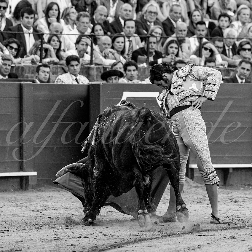 20230429 sevilla 015