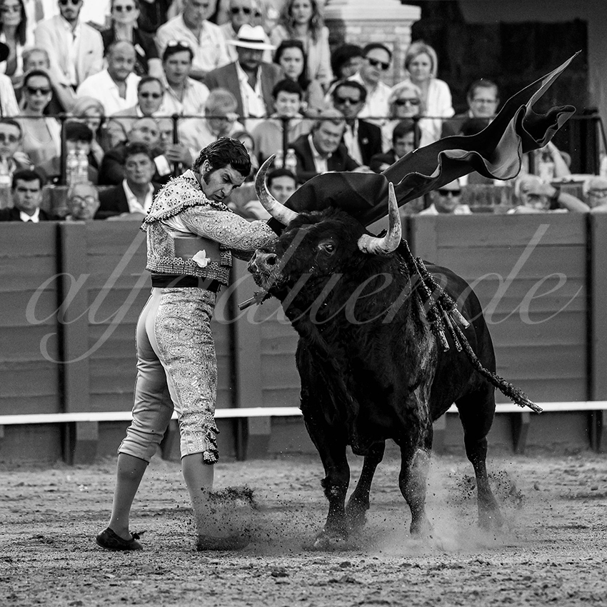 20230429 sevilla 014