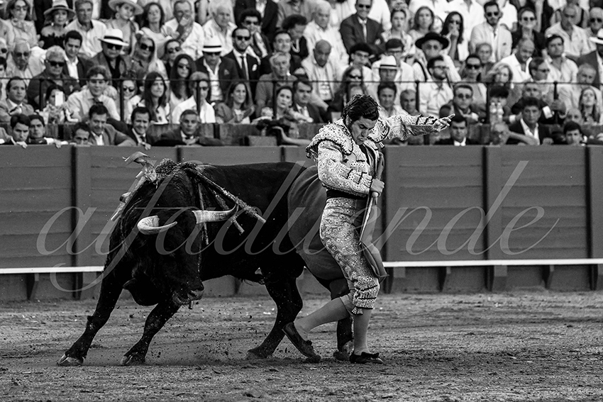 20230429 sevilla 013