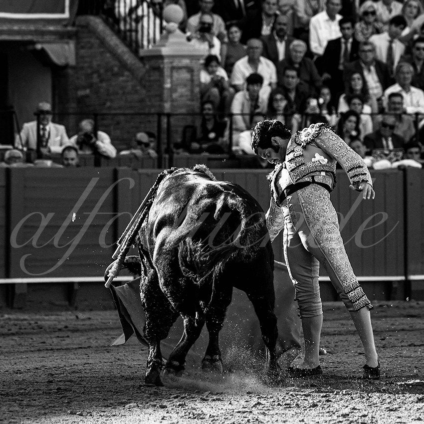 20230429 sevilla 012