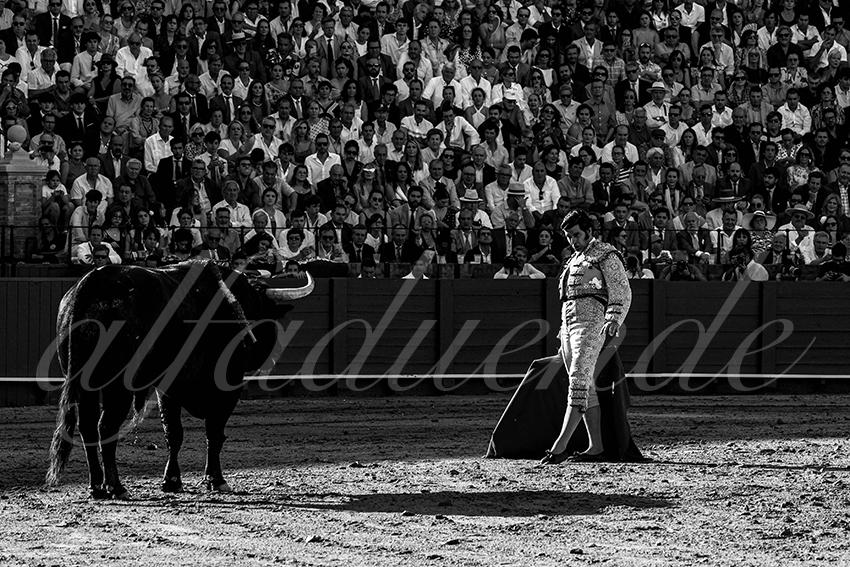 20230429 sevilla 011