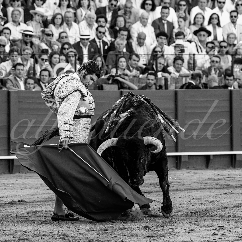 20230429 sevilla 010