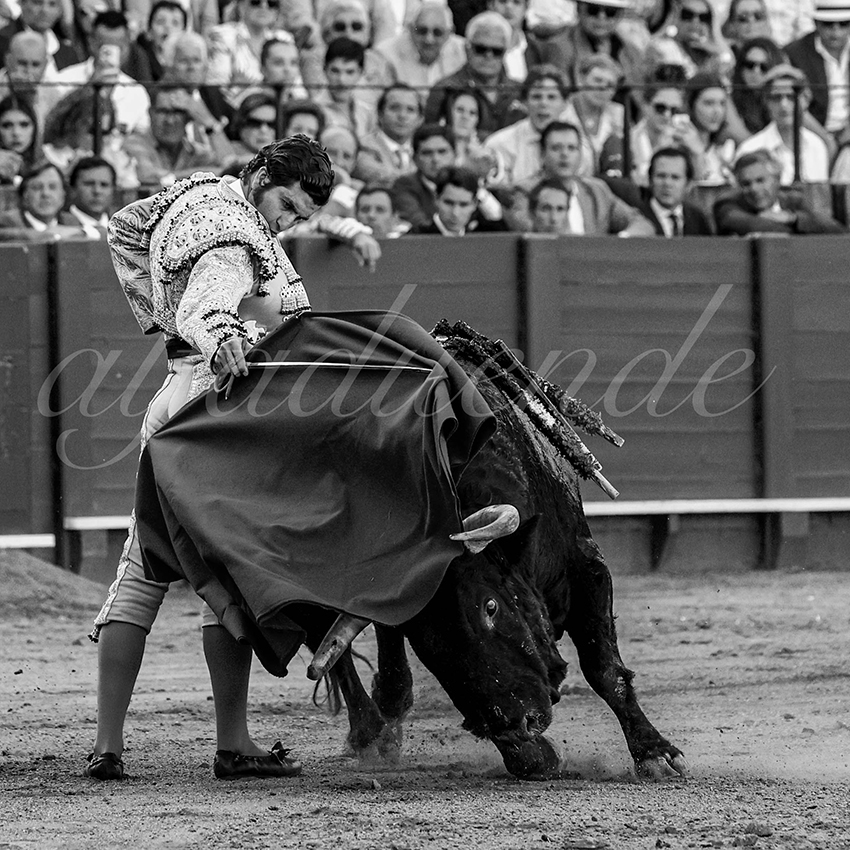 20230429 sevilla 009