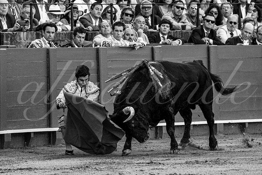 20230429 sevilla 008