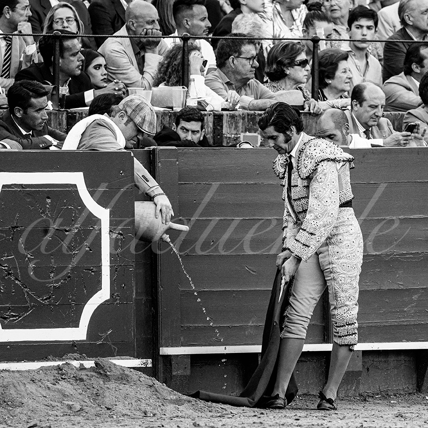 20230429 sevilla 007