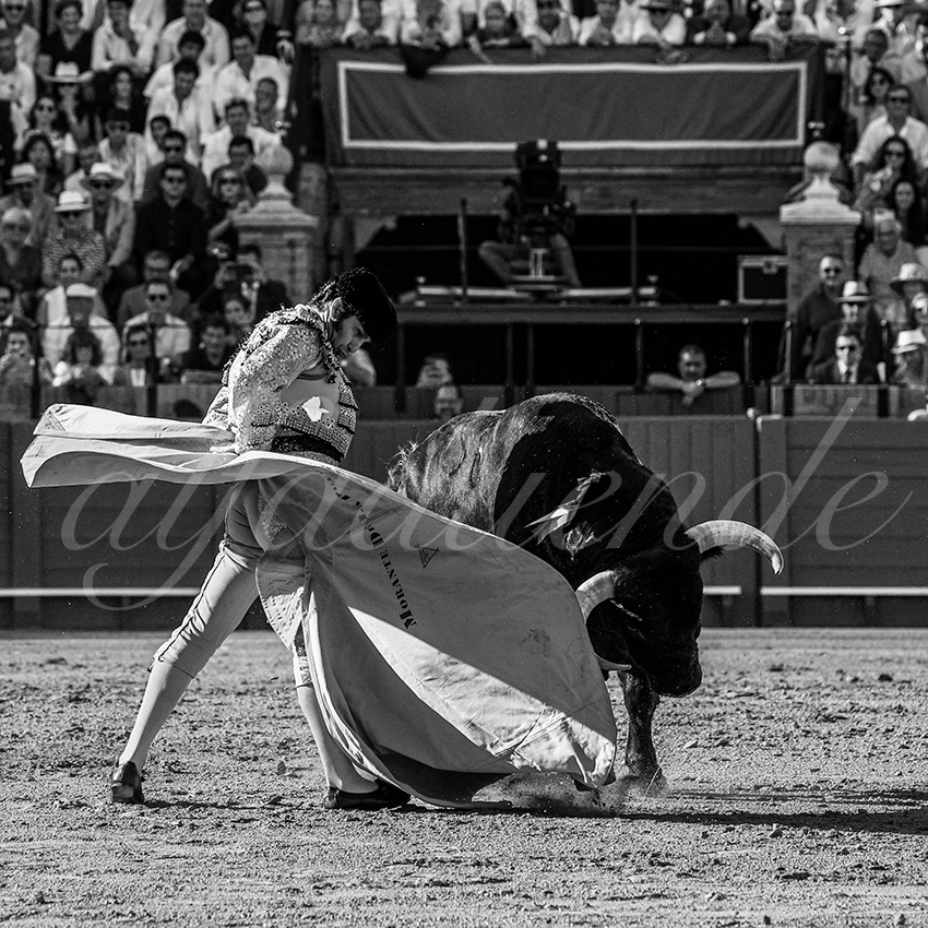 20230429 sevilla 006