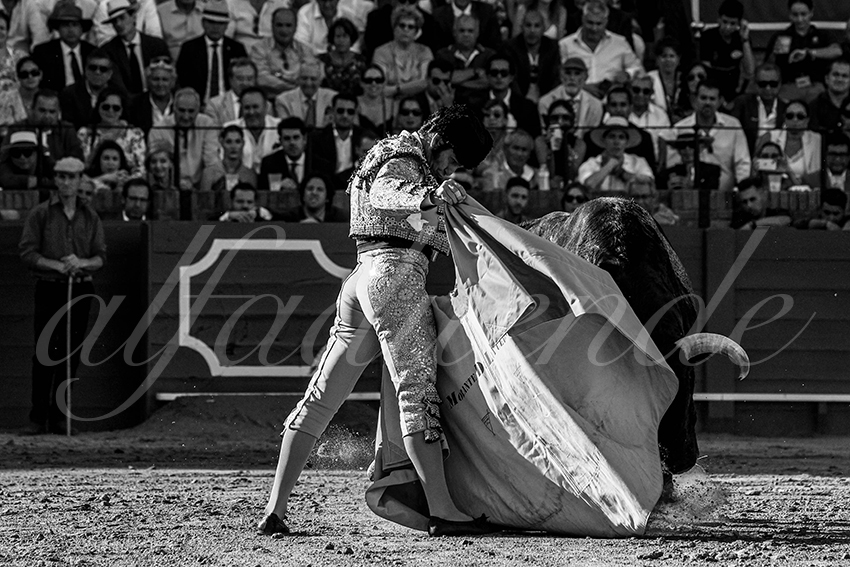 20230429 sevilla 005