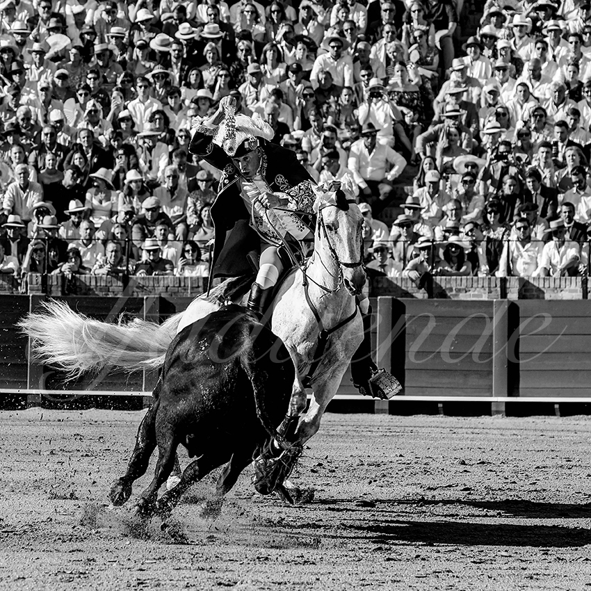 20230429 sevilla 003