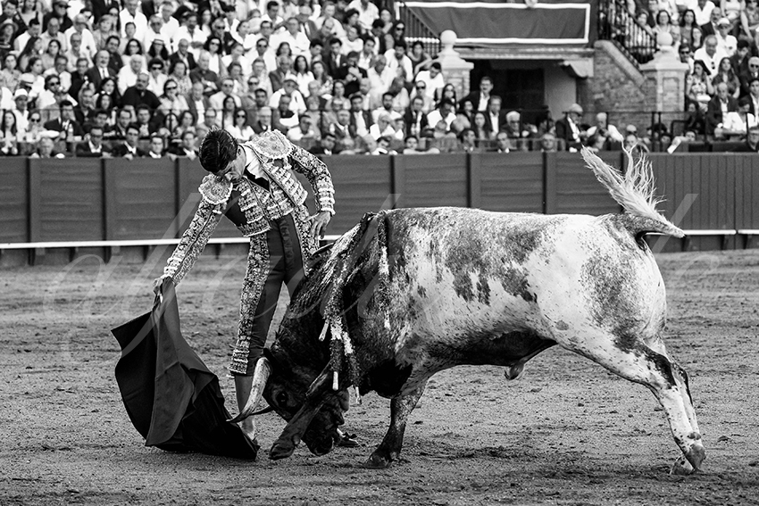 20230430 sevilla 024